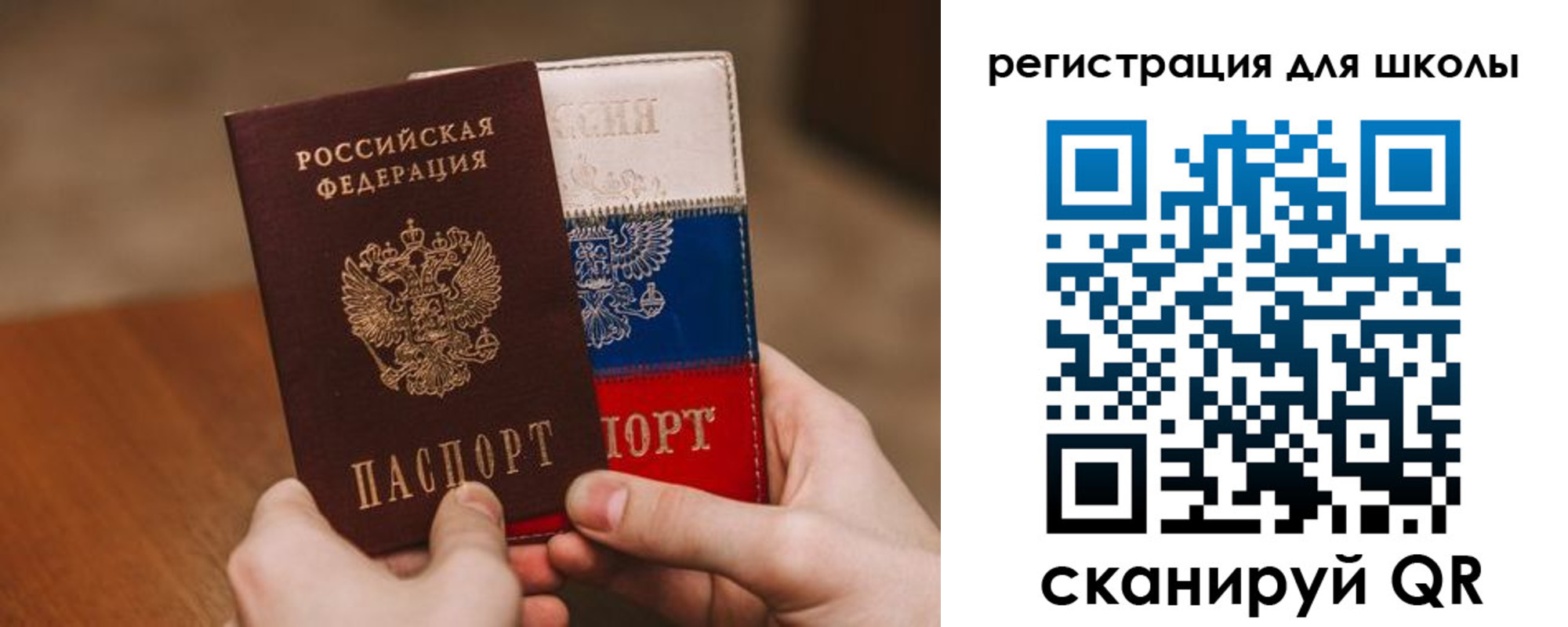 регистрация в Курской области
