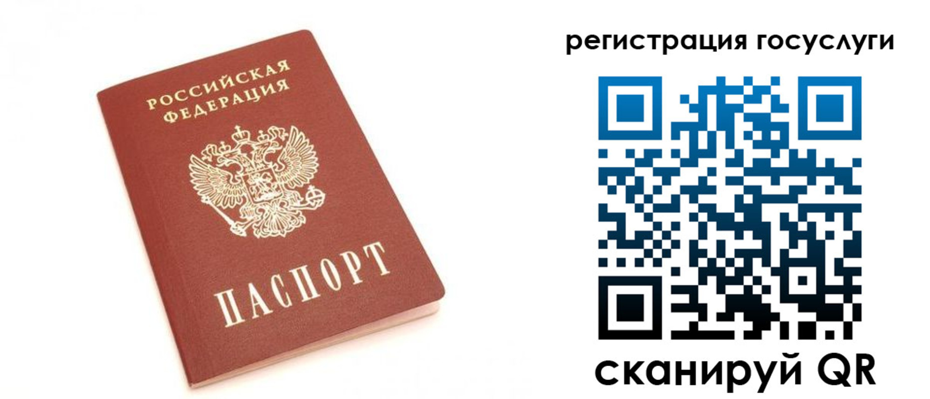 прописка для школы в Курской области
